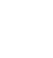 Logo Wineswan Club